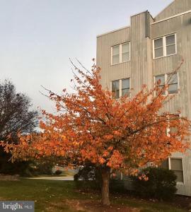 5219 LE PARC DR #2, WILMINGTON, Delaware 19809, Estados Unidos