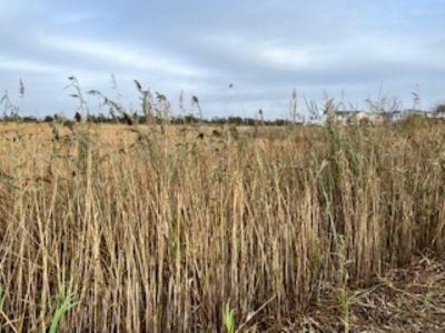 W Memphis Avenue , Views galore, Lower Township, NJ 08260, USA