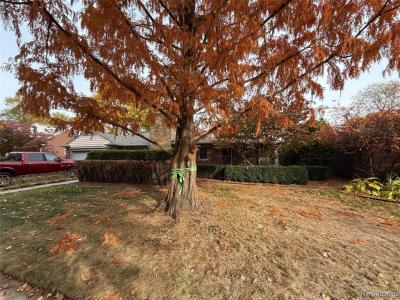 1210 Marywood Drive, Royal Oak, מישיגן 48067, ארצות הברית של אמריקה 