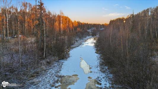 49168 S Hunter Drive, Willow, Alaska 99688, USA
