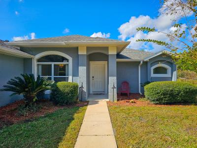 30 Caladium Drive, Ormond Beach, Florida 32174, USA