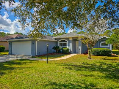 30 Caladium Drive, Ormond Beach, 佛羅里達州 32174, 美國