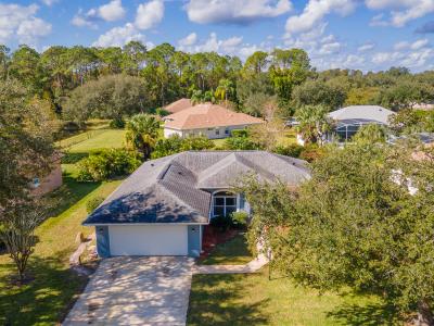 30 Caladium Drive, Ormond Beach, 佛羅里達州 32174, 美國