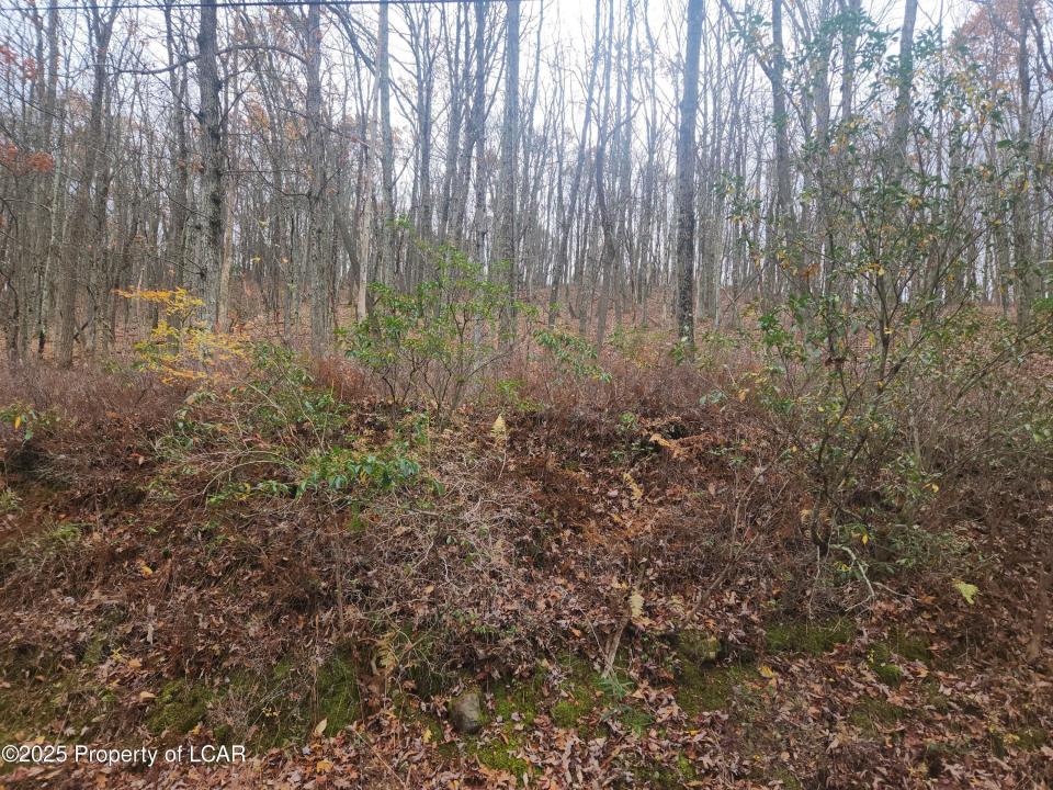 1210 Woodhaven Drive, White Haven, Pennsylvania 18661, Amerika Birleşik Devletleri