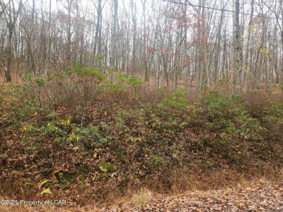 1210 Woodhaven Drive, White Haven, Pennsylvania 18661, Amerika Birleşik Devletleri