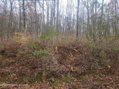 1212 Woodhaven Drive, White Haven, Pennsylvania 18661