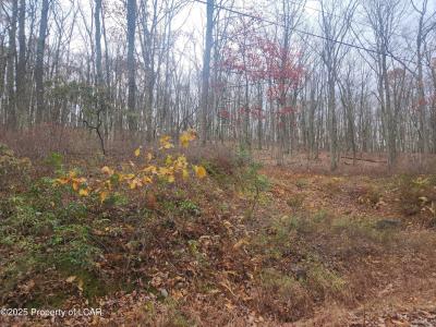 1212 Woodhaven Drive, White Haven, Pennsylvania 18661, Estados Unidos