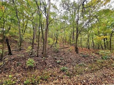 0000 S 4760 Road, Westville, Oklahoma 74965, États-Unis