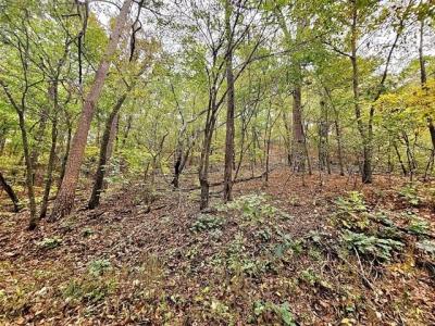 0000 S 4760 Road, Westville, Oklahoma 74965, États-Unis