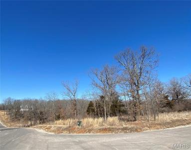 0 Lot 11 Promise Drive, Lübnan, Missouri 65536, Amerika Birleşik Devletleri