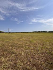 127 Proctor, Romance, Arkansas 72136, États-Unis