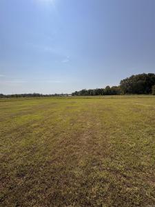 127 Proctor, Romance, Arkansas 72136, États-Unis