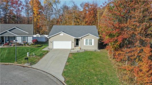 1393 Cross Cove, Austintown, Ohio 44515, Stati Uniti