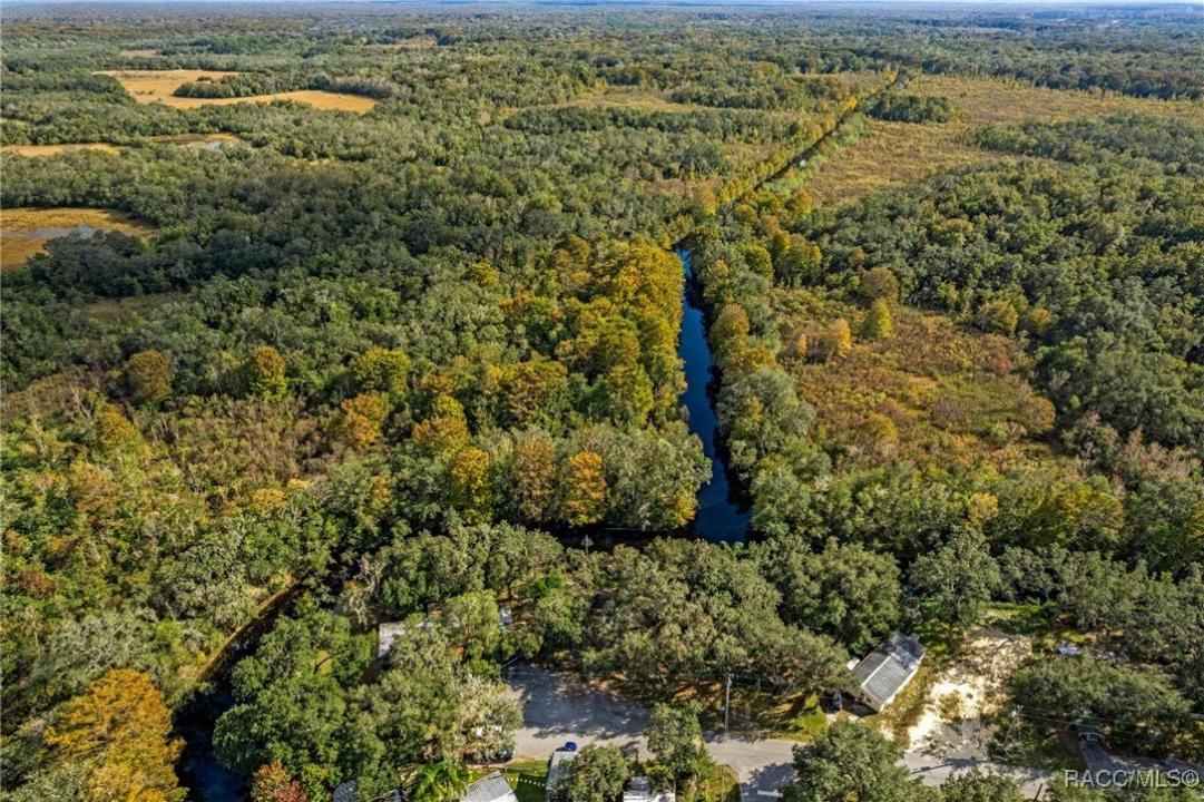 11860 E Cardinal Place, Floral City, Флорида 34436, Соединенные Штаты