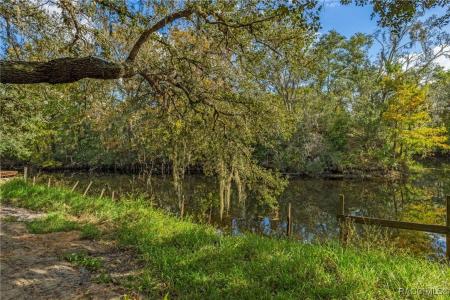 11860 E Cardinal Place, Floral City, Флорида 34436, Соединенные Штаты