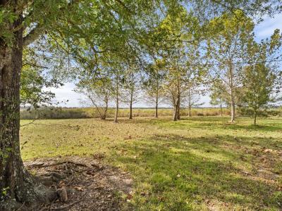 3425 Walker Road, Reeves, לואיזיאנה 70658, ארצות הברית של אמריקה