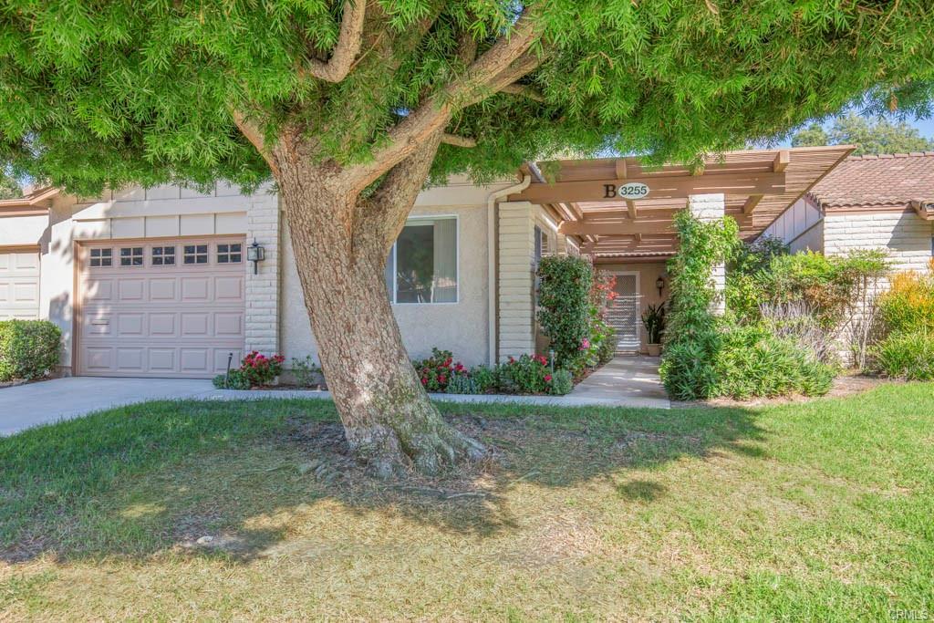 3255-B San Amadeo, Laguna Woods, California 92637, Stati Uniti