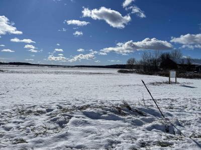 0 Swan Creek, Hemlock, Michigan 48626, Estados Unidos