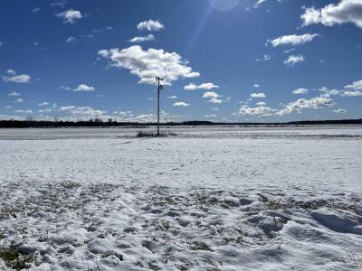 0 Swan Creek, Hemlock, Michigan 48626, Estados Unidos