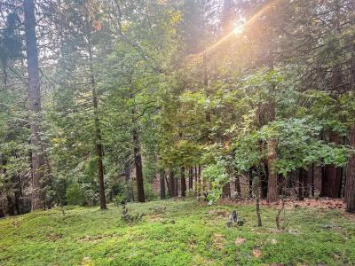 1800 Kit Carson Circle, Arnold, California 95223