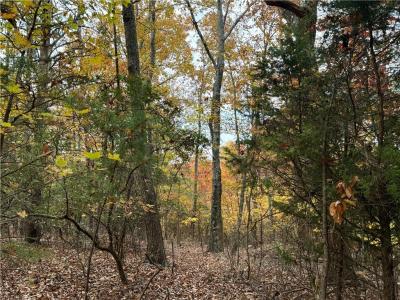 1344 Hunter Drive, Ranger, 乔治亚州 30734, 美国