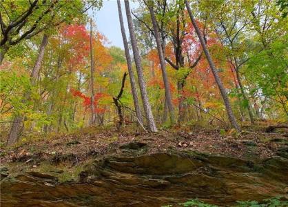 374 Nomad Court, Ranger, Géorgie 30734, États-Unis