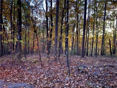 1345 Hunter Drive, Ranger, Georgia 30734, Stati Uniti