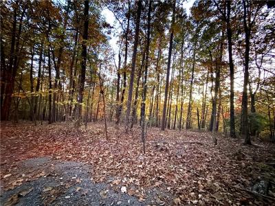 1345 Hunter Drive, Ranger, Georgia 30734, Stati Uniti