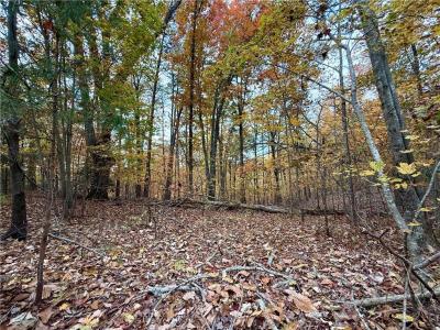 1345 Hunter Drive, Ranger, Georgia 30734, Stati Uniti