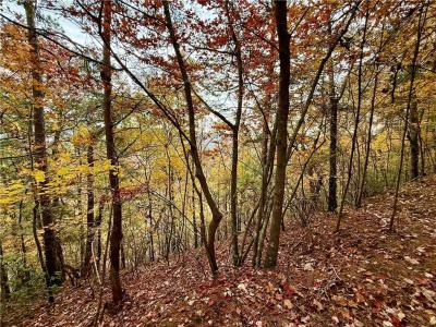 526 Fedorak Court, Ranger, 喬治亞州 30734, 美國