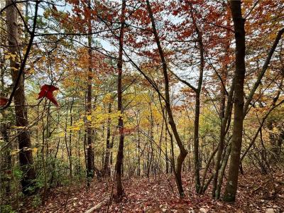 526 Fedorak Court, Ranger, 喬治亞州 30734, 美國