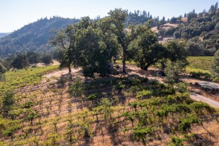 5200 Butte Creek Road, Somerset, 加州 95684, 美國