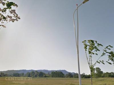 Rinas, Tirana, Albania