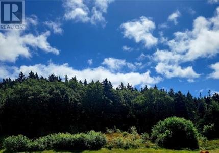 38 CATHILL ROAD, Bay Roberts, 뉴펀들랜드 앤 레브러더 A0A 1G0, 캐나다