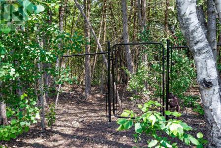 107 TEKIAH ROAD, Blue Mountains, אונטריו N0H 1J0, קנדה 