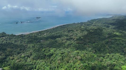 Bahía Ballena Osa, Puntarenas 60504, Costa Rica