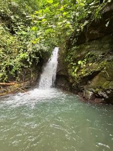 Bahía Ballena Osa, Puntarenas 60504, Costa Rica
