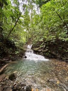 Bahía Ballena Osa, Puntarenas 60504, Costa Rica