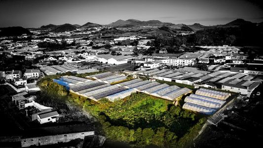 Ponta Delgada, São Miguel 9500-701, Portugal