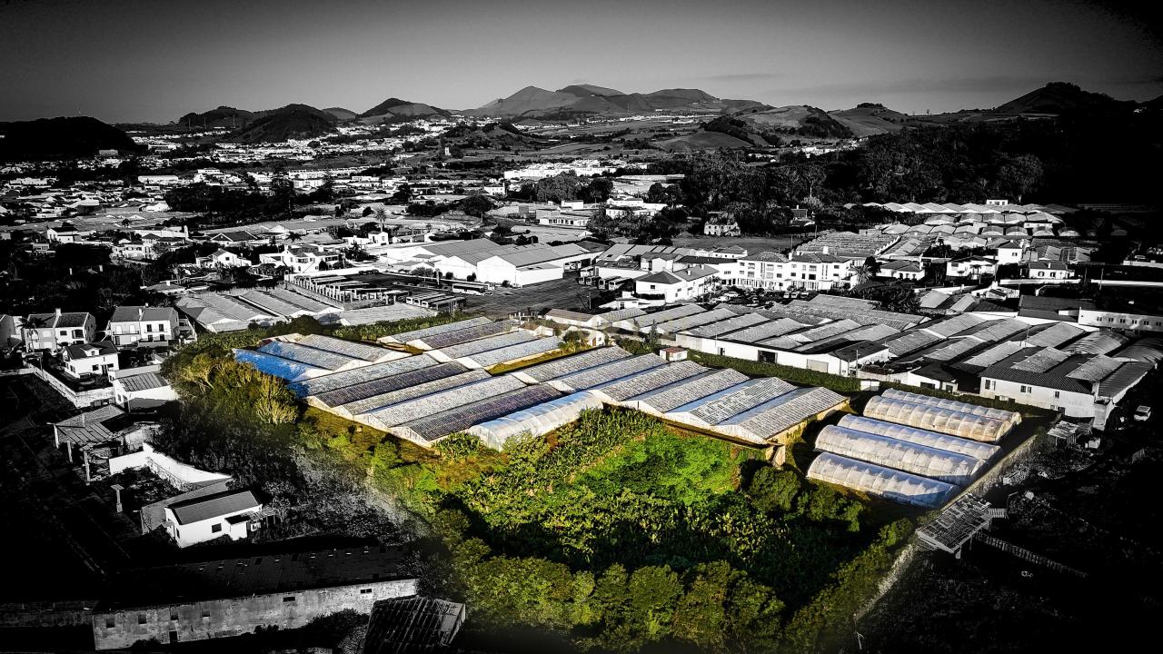 Ponta Delgada, São Miguel 9500-701, Portugal