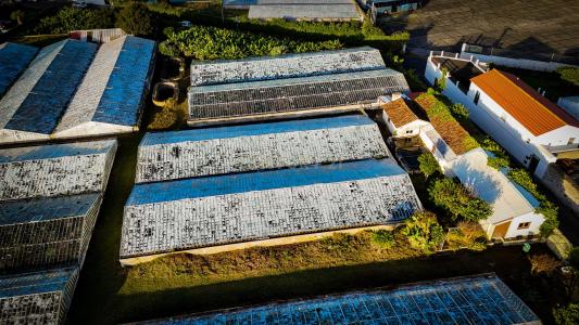 Ponta Delgada, São Miguel 9500-701, Portugal