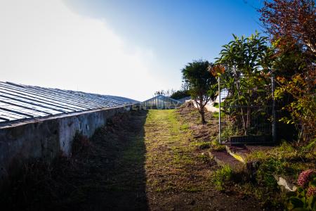 Ponta Delgada, São Miguel 9500-701, Portugal