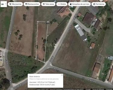 Vagos, Aveiro 3840-301, Portugal