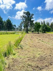 Vagos, Aveiro 3840-301, Portugal