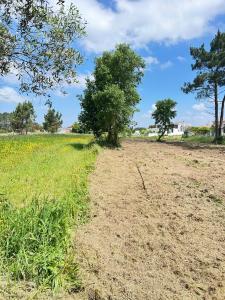 Vagos, Aveiro 3840-301, Portugal