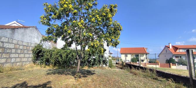 Valpaços, Vila Real 5430-123, Portogallo