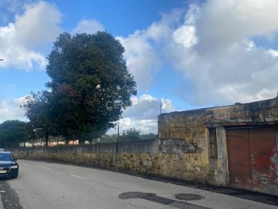 Santa Maria Da Feira, آويرو 4535-027, البرتغال