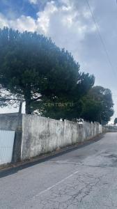 Santa Maria Da Feira, آويرو 4535-027, البرتغال