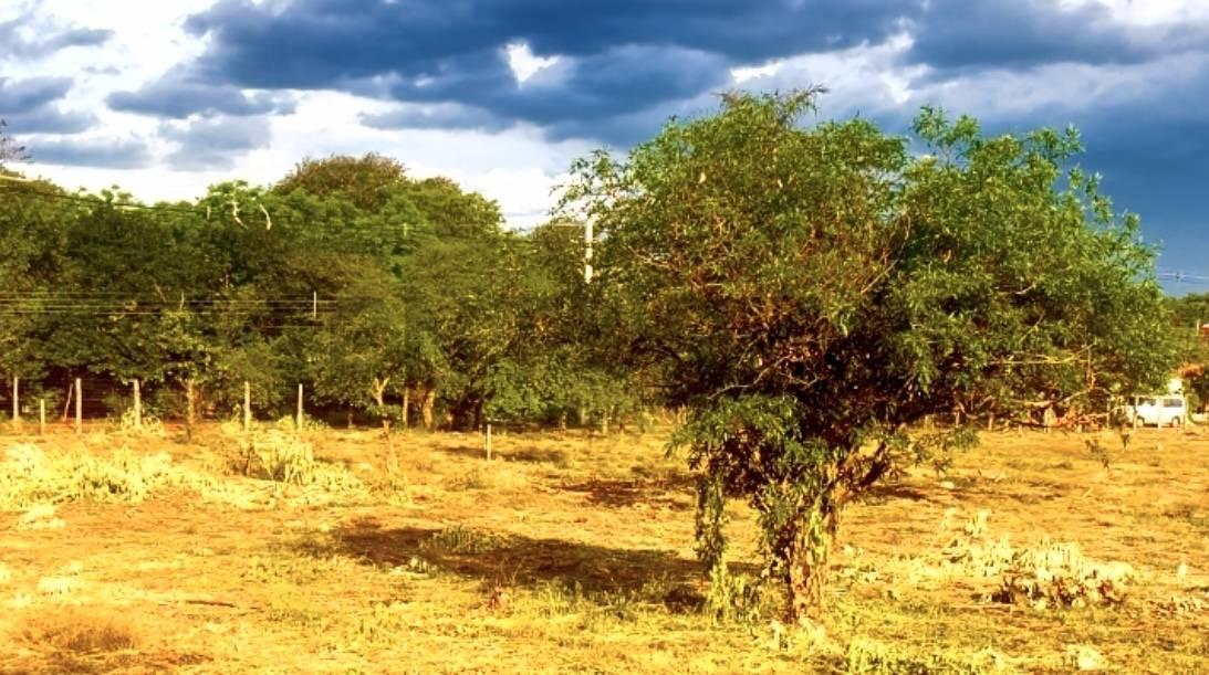 Palo Santo , Mariano Roque Alonso, セントラル・ヒーティング 00001, パラグアイ