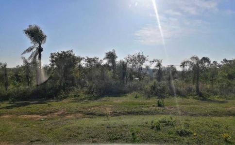 Ruta Altos loma grande esquina san antonio , Altos, Cordillera 00001, Paraguay